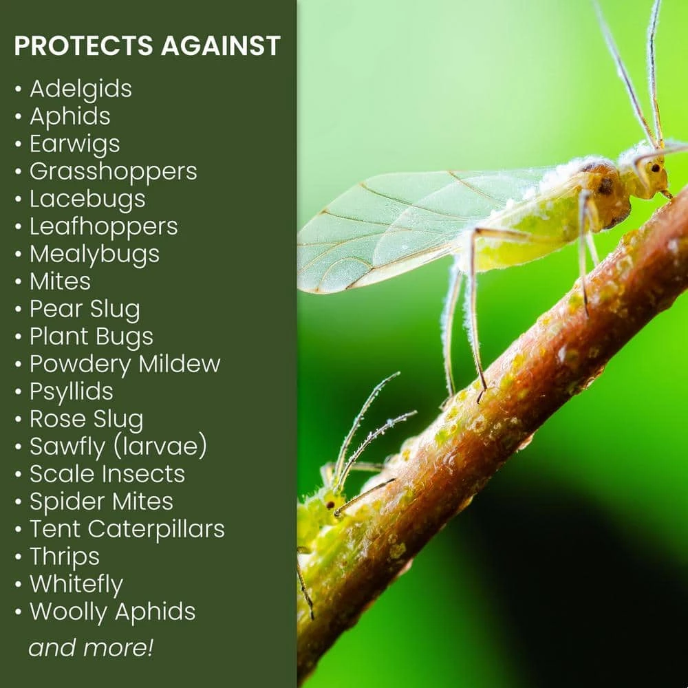 Wholesale π 1 Gal. Ready-to-Use Insecticidal Soap, Insect Killer and Miticide for Organic Gardening by Natria 𧨠2 Wholesale π 1 Gal. Ready-to-Use Insecticidal Soap, Insect Killer and Miticide for Organic Gardening by Natria 𧨠- Image 2