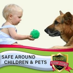 Cheap π₯° 128 oz. All-Natural Peppermint Repellent for Mice/Mouse, Rats & Rodents for Indoor and Outdoor Use with Trigger Sprayer by Natural Armor π₯ 10 Cheap π₯° 128 oz. All-Natural Peppermint Repellent for Mice/Mouse, Rats & Rodents for Indoor and Outdoor Use with Trigger Sprayer by Natural Armor π₯ -Organic Gardening Shop natural armor bug killer spray nardgrtu 1f 1000