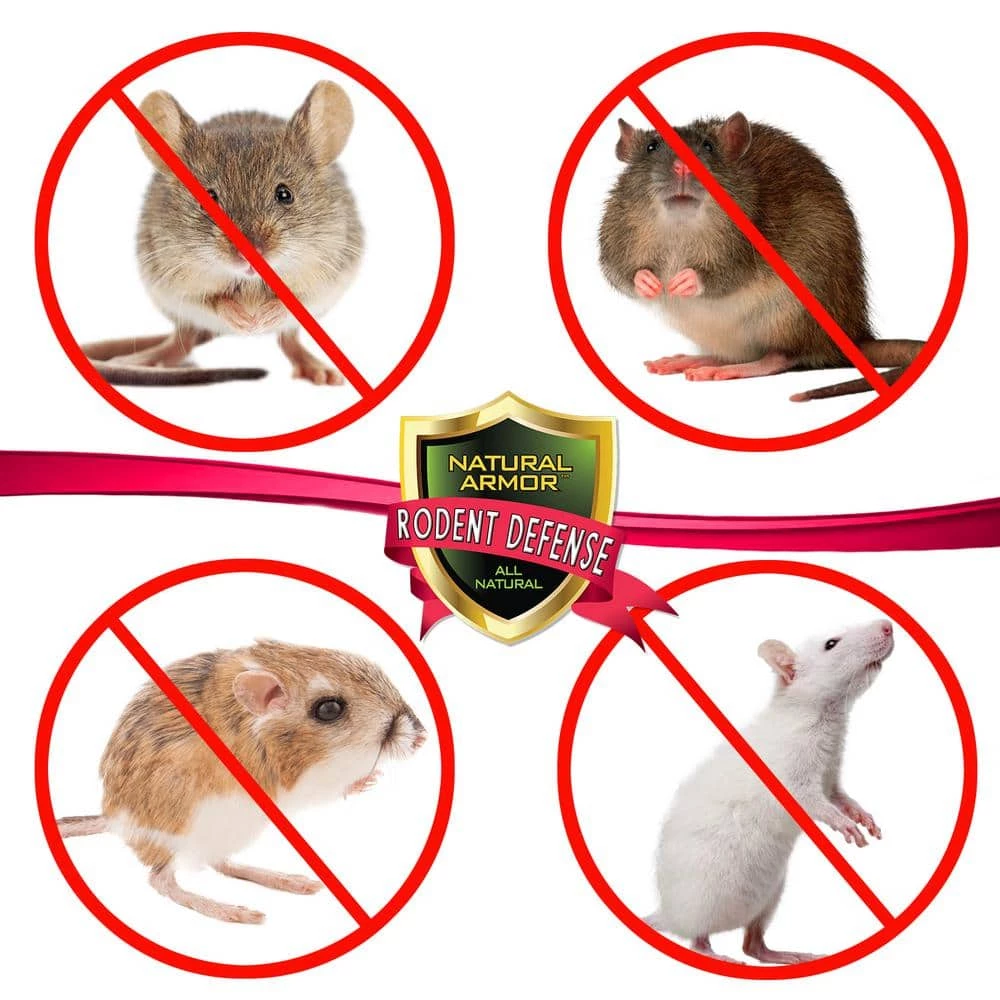 Cheap π₯° 128 oz. All-Natural Peppermint Repellent for Mice/Mouse, Rats & Rodents for Indoor and Outdoor Use with Trigger Sprayer by Natural Armor π₯ 2 Cheap π₯° 128 oz. All-Natural Peppermint Repellent for Mice/Mouse, Rats & Rodents for Indoor and Outdoor Use with Trigger Sprayer by Natural Armor π₯ - Image 2