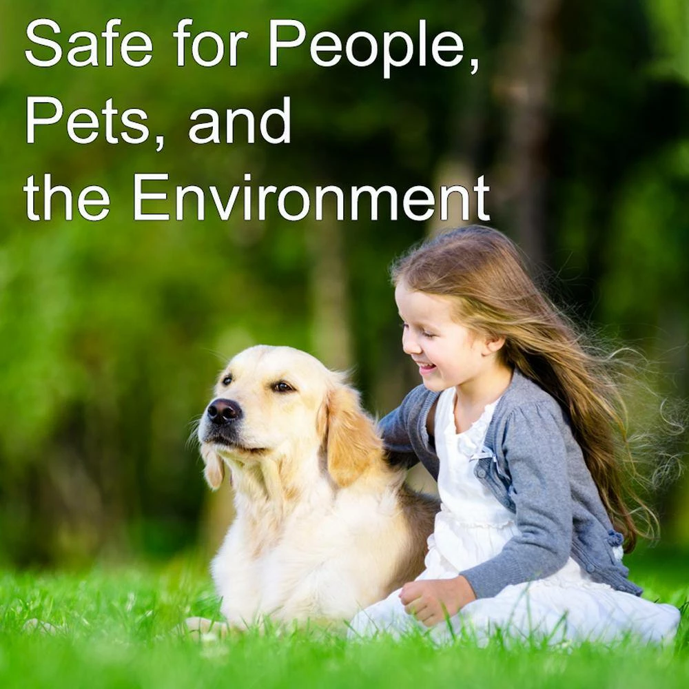 Buy β¨ 128 oz. All-Natural Weed and Grass Killer Ready-To-Use No Glyphosate by Natural Armor π₯° 5 Buy β¨ 128 oz. All-Natural Weed and Grass Killer Ready-To-Use No Glyphosate by Natural Armor π₯° - Image 5