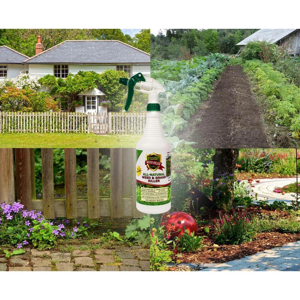Buy β¨ 128 oz. All-Natural Weed and Grass Killer Ready-To-Use No Glyphosate by Natural Armor π₯° 6 Buy β¨ 128 oz. All-Natural Weed and Grass Killer Ready-To-Use No Glyphosate by Natural Armor π₯° - Image 6
