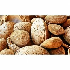 Brand new 👏 Halls Hardy Almond Tree Bare Root by Online Orchards 🎁
