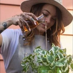 Buy 🎁 1.18 oz. Organic Indoor Houseplant Liquid Balanced Nutrition, Mycorrhizae All Season Plant Food .10 .15 .12 (2-Pack) by NOOT 👏 -Organic Gardening Shop organic plant food noot tube dbl 31 1000