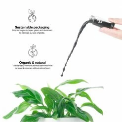 Buy 🎁 1.18 oz. Organic Indoor Houseplant Liquid Balanced Nutrition, Mycorrhizae All Season Plant Food .10 .15 .12 (2-Pack) by NOOT 👏 -Organic Gardening Shop organic plant food noot tube dbl 44 1000