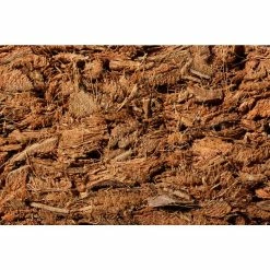 Cheap 🤩 8 qt. Organic Coconut Husk Indoor Plant Potting Mix by NOOT ✨ -Organic Gardening Shop organic potting soil husky mix 76 1000