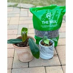 Best Sale 🔔 4.8 qt. Organic Soilless Indoor Plant Potting Mix Coconut Chips, Coco Coir, Perlite Soaked with Plant Food .10 .15 .12 by NOOT 🎁 -Organic Gardening Shop organic potting soil the mix 44 1000