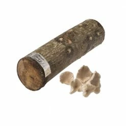 Promo ✔️ 12 in. Oyster Mushroom Log by Unbranded 😀