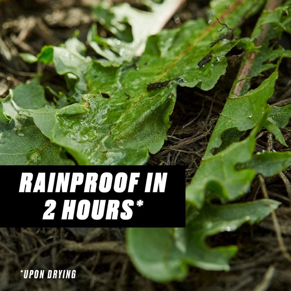 Best reviews of π 1 Gal. Ready-to-Use Groundclear Weed and Grass Killer by Ortho π 9 Best reviews of π 1 Gal. Ready-to-Use Groundclear Weed and Grass Killer by Ortho π - Image 9