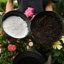 Top 10 ⌛ 8 Qt. Perlite - Growers Grade Soil Amendment by Perfect Plants 🔔 -Organic Gardening Shop perfect plants grow media hdsoil010 1f 1000
