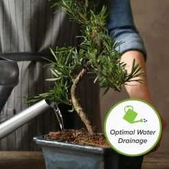 Wholesale 🔥 2 Qt. Organic Bonsai Soil Mix - Premium Balanced Long Term Soil Blend by Perfect Plants 😍 -Organic Gardening Shop perfect plants organic potting soil hdsoil002 44 1000