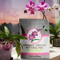 Wholesale 🥰 4 Qt. Organic Orchid Potting Mix - Coarse Blend for All Phalaenopsis Varieties by Perfect Plants 🥰 -Organic Gardening Shop perfect plants organic potting soil hdsoil004 44 1000