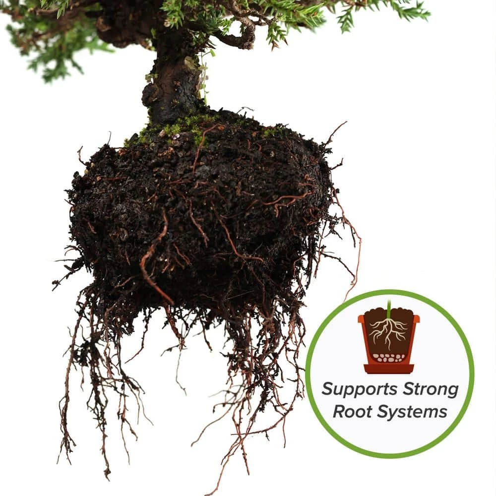 Flash Sale π― 8 Qt. Organic Bonsai Soil Mix - Premium Balanced Long Term Soil Blend by Perfect Plants βοΈ 2 Flash Sale π― 8 Qt. Organic Bonsai Soil Mix - Premium Balanced Long Term Soil Blend by Perfect Plants βοΈ - Image 2