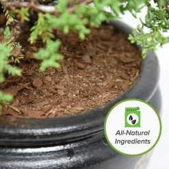 Flash Sale π― 8 Qt. Organic Bonsai Soil Mix - Premium Balanced Long Term Soil Blend by Perfect Plants βοΈ 11 Flash Sale π― 8 Qt. Organic Bonsai Soil Mix - Premium Balanced Long Term Soil Blend by Perfect Plants βοΈ -Organic Gardening Shop perfect plants organic potting soil hdsoil013 fa 1000