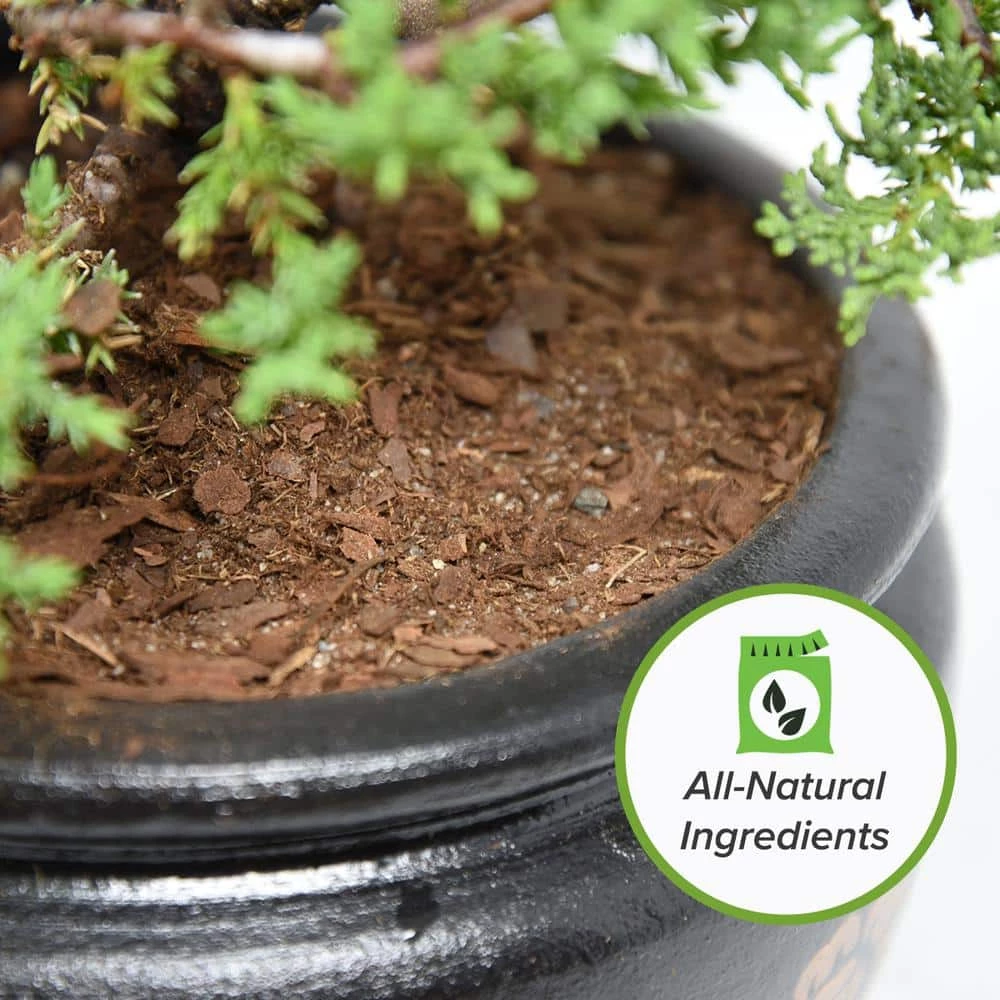 Flash Sale π― 8 Qt. Organic Bonsai Soil Mix - Premium Balanced Long Term Soil Blend by Perfect Plants βοΈ 6 Flash Sale π― 8 Qt. Organic Bonsai Soil Mix - Premium Balanced Long Term Soil Blend by Perfect Plants βοΈ - Image 6