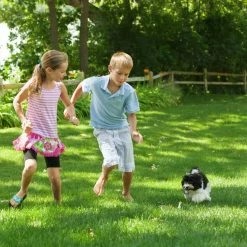 Hot Sale ⌛ 25 lb. Lawn Food Fertilizer by Purely Organic Products 🛒 -Organic Gardening Shop purely organic products lawn fertilizers lfjrdk1 4f 1000