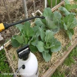 Top 10 ❤️ 32 oz. Worm Casting Concentrate by Readi Soil ⭐ -Organic Gardening Shop readi soil grow media rswcc32 31 1000