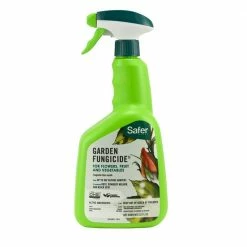 Cheapest ⌛ 32 oz. Garden Fungicide Control Ready-to-Use Spray by Safer Brand 👏