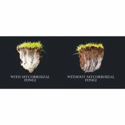 Budget 🧨 16 oz. Worm Casting Tea with Mychorrhizae by soil blend 🛒 -Organic Gardening Shop soil blend organic plant food sbtea16myco 4f 1000