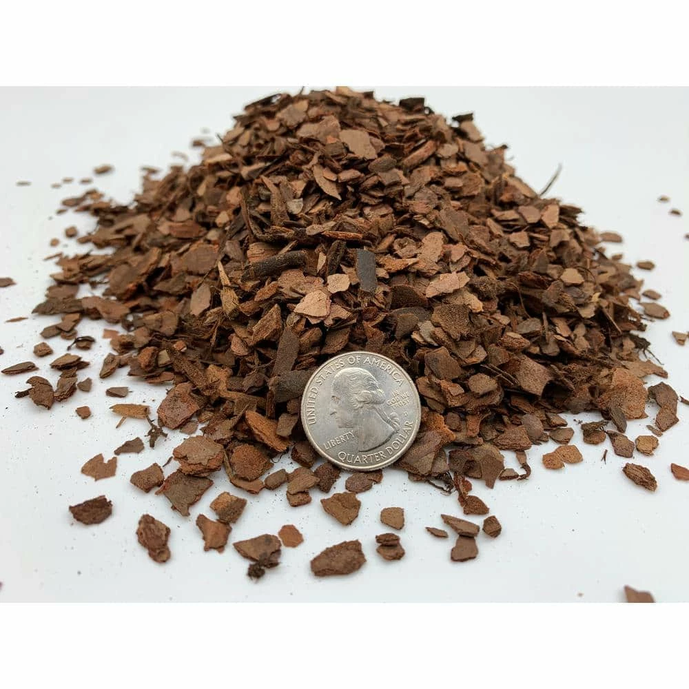 Best deal π 1/4 in. Particle Size, 2 qt. Pine Bark Fines for Bonsai, Orchids, Succulents, Cactus and Other Potted Plant Soil Mixes by The Bonsai Supply π 2 Best deal π 1/4 in. Particle Size, 2 qt. Pine Bark Fines for Bonsai, Orchids, Succulents, Cactus and Other Potted Plant Soil Mixes by The Bonsai Supply π - Image 2