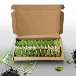 Organic Gardening Shop -Organic Gardening Shop vegtrug herb plants spkh002usa a0 1000