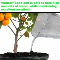 Flash Sale ❤️ 11 lbs. (5 kg) Coconut Coir Block of Soilless Media (3-Pack) by Viagrow 🧨 -Organic Gardening Shop viagrow garden soil vccb5 3 1d 1000