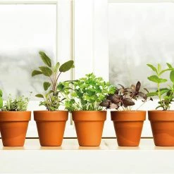 Best reviews of ⭐ Harvest Hero Enhanced Perlite Soil Mix (16 Qt./4 Gal./15 l) by Viagrow ✔️ -Organic Gardening Shop viagrow grow media f003003 2 77 1000