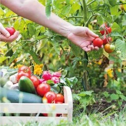 Best reviews of ⭐ Harvest Hero Enhanced Perlite Soil Mix (16 Qt./4 Gal./15 l) by Viagrow ✔️ -Organic Gardening Shop viagrow grow media f003003 2 a0 1000