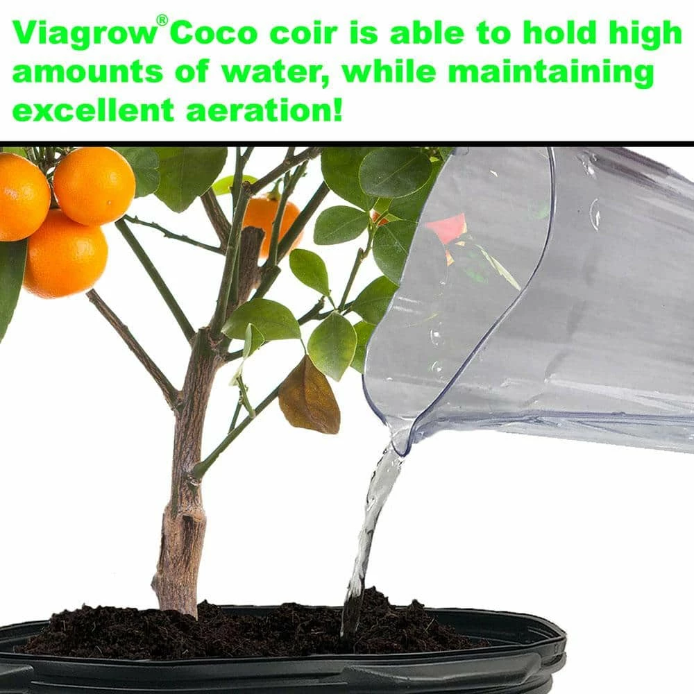 Wholesale π 11 lbs. (5 kg) Coconut Coir Block, 100% Organic Coco Coir by Viagrow β 5 Wholesale π 11 lbs. (5 kg) Coconut Coir Block, 100% Organic Coco Coir by Viagrow β - Image 5
