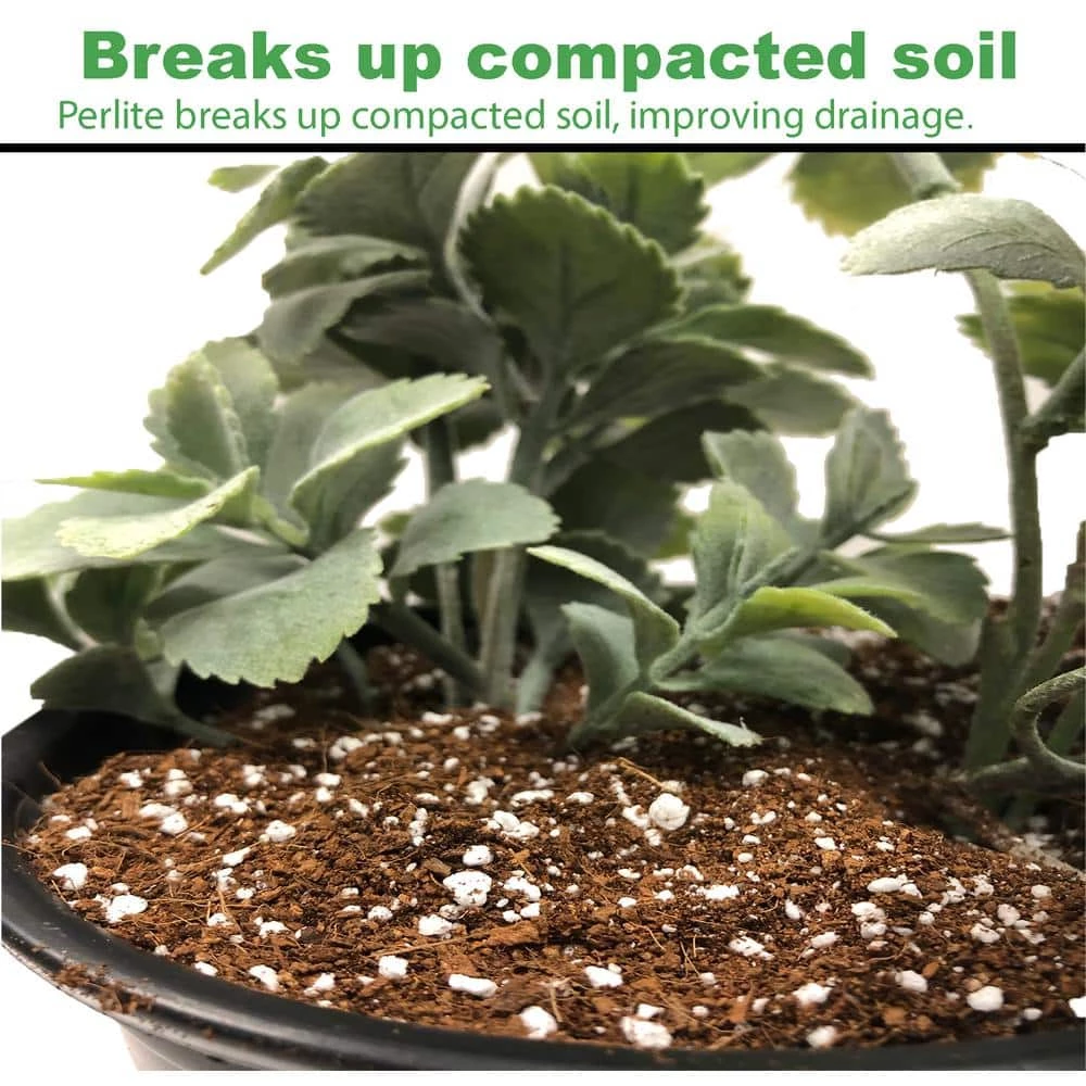 Cheap π― 5 kg Coir Block With 1 Cubic Ft Horticultural Perlite (Makes 3.4 cu. Ft./25.4 Gal./101 Qts) by Viagrow π 6 Cheap π― 5 kg Coir Block With 1 Cubic Ft Horticultural Perlite (Makes 3.4 cu. Ft./25.4 Gal./101 Qts) by Viagrow π - Image 6