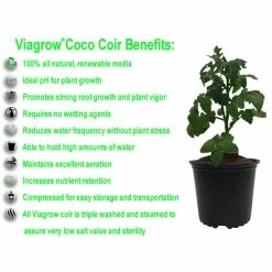 Flash Sale 👍 1.4 lbs./650g Premium Coco Coir, Soilless Grow Media, Coconut Coir Brick (12-Pack) by Viagrow 🤩 -Organic Gardening Shop viagrow grow media vccb650 12 a0 1000