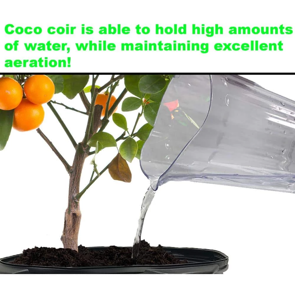 Top 10 π 1.4 lbs./650g Premium Coco Coir, Soilless Grow Media, Coconut Coir Brick (6-Pack) by Viagrow π 5 Top 10 π 1.4 lbs./650g Premium Coco Coir, Soilless Grow Media, Coconut Coir Brick (6-Pack) by Viagrow π - Image 5