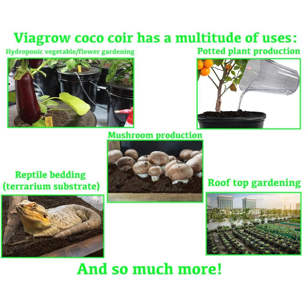 Top 10 π 1.4 lbs./650g Premium Coco Coir, Soilless Grow Media, Coconut Coir Brick (6-Pack) by Viagrow π 7 Top 10 π 1.4 lbs./650g Premium Coco Coir, Soilless Grow Media, Coconut Coir Brick (6-Pack) by Viagrow π - Image 7