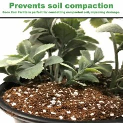 Best Sale 🧨 1.7 cu. ft. Coco Coir Plus Perlite Premium Grow Media by Viagrow ❤️ 8 Best Sale 🧨 1.7 cu. ft. Coco Coir Plus Perlite Premium Grow Media by Viagrow ❤️ -Organic Gardening Shop viagrow grow media vccp50 40 1000