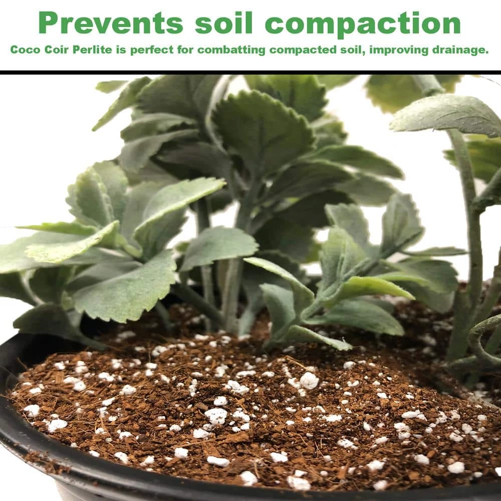 Best Sale 🧨 1.7 cu. ft. Coco Coir Plus Perlite Premium Grow Media by Viagrow ❤️ 3 Best Sale 🧨 1.7 cu. ft. Coco Coir Plus Perlite Premium Grow Media by Viagrow ❤️ - Image 3