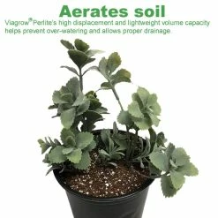 Wholesale π Organic 8 cu. ft. 4CF Perlite and Vermiculite Planting Soil Additive Growing Medium 236 Qt./60 US Gal. (2-Pack) by Viagrow π₯ 12 Wholesale π Organic 8 cu. ft. 4CF Perlite and Vermiculite Planting Soil Additive Growing Medium 236 Qt./60 US Gal. (2-Pack) by Viagrow π₯ -Organic Gardening Shop viagrow grow media verper4 1d 1000