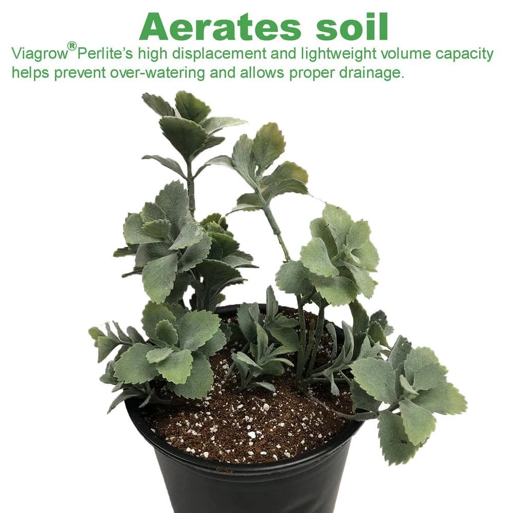 Wholesale π Organic 8 cu. ft. 4CF Perlite and Vermiculite Planting Soil Additive Growing Medium 236 Qt./60 US Gal. (2-Pack) by Viagrow π₯ 5 Wholesale π Organic 8 cu. ft. 4CF Perlite and Vermiculite Planting Soil Additive Growing Medium 236 Qt./60 US Gal. (2-Pack) by Viagrow π₯ - Image 5