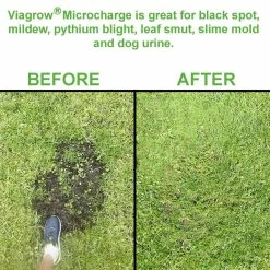 Coupon π 10 oz. Micro Charge/50g Per Pack (3-Pack) by Viagrow π 8 Coupon π 10 oz. Micro Charge/50g Per Pack (3-Pack) by Viagrow π -Organic Gardening Shop viagrow grow media vmc150 a0 1000