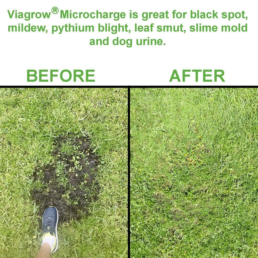 Coupon π 10 oz. Micro Charge/50g Per Pack (3-Pack) by Viagrow π 4 Coupon π 10 oz. Micro Charge/50g Per Pack (3-Pack) by Viagrow π - Image 4