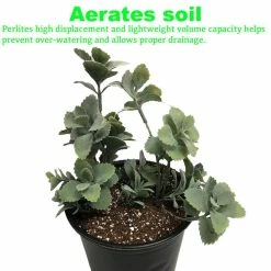 Best deal ✨ 4 cu. ft. of Perlite (2-Pack) by Viagrow 🥰 -Organic Gardening Shop viagrow grow media vper4 2 c3 1000