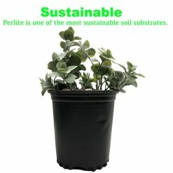 Best deal π 4 cu. ft. Perlite by Viagrow π 14 Best deal π 4 cu. ft. Perlite by Viagrow π -Organic Gardening Shop viagrow grow media vper4 66 1000