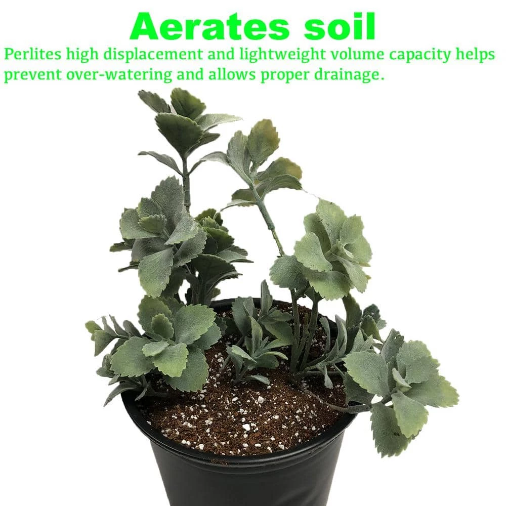 Best deal π 4 cu. ft. Perlite by Viagrow π 7 Best deal π 4 cu. ft. Perlite by Viagrow π - Image 7