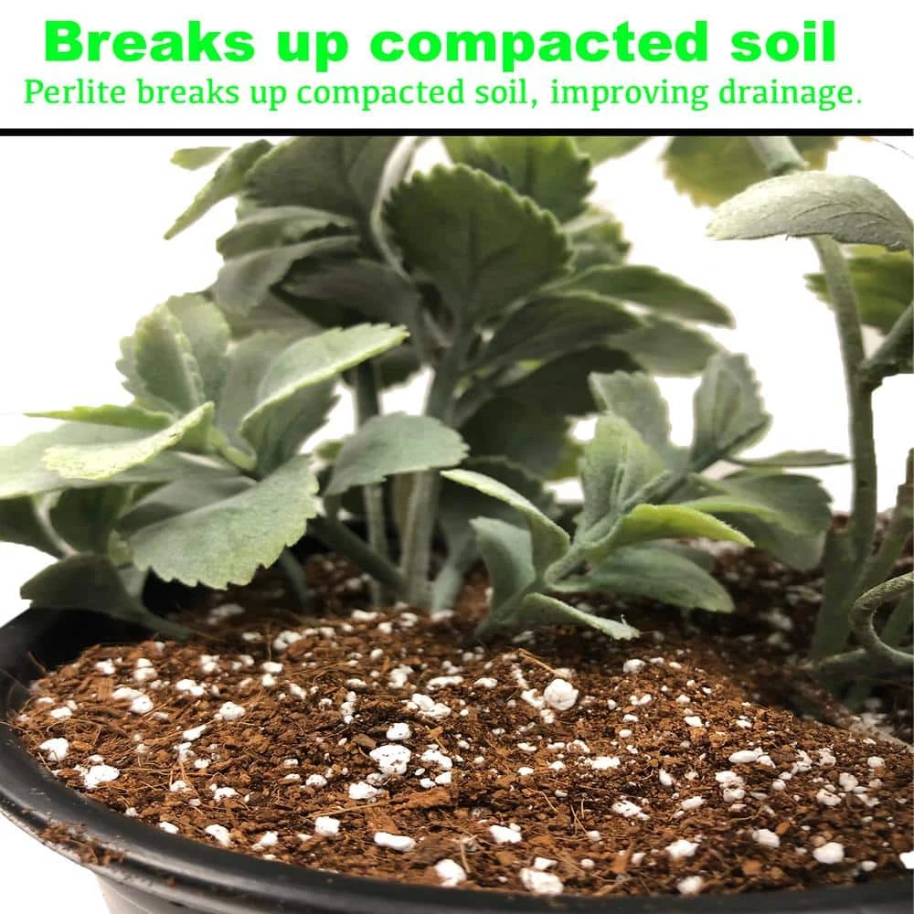 Best deal π 4 cu. ft. Perlite by Viagrow π 2 Best deal π 4 cu. ft. Perlite by Viagrow π - Image 2