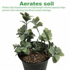 Best Pirce 😉 2 cu. ft. Perlite Coarse and Chunky Grade 59.8 Qt./56 L/15 Gal./7.26 Kg by Viagrow 👍 -Organic Gardening Shop viagrow grow media vperch1 2 1d 1000