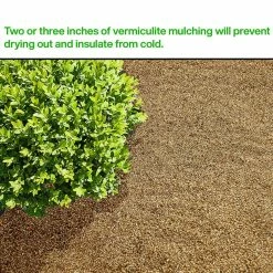 Budget ⨠4 cu. ft. 29.9 Gal./113 l Horticultural Vermiculite by Viagrow 𧨠12 Budget ⨠4 cu. ft. 29.9 Gal./113 l Horticultural Vermiculite by Viagrow 𧨠-Organic Gardening Shop viagrow grow media vr4 66 1000