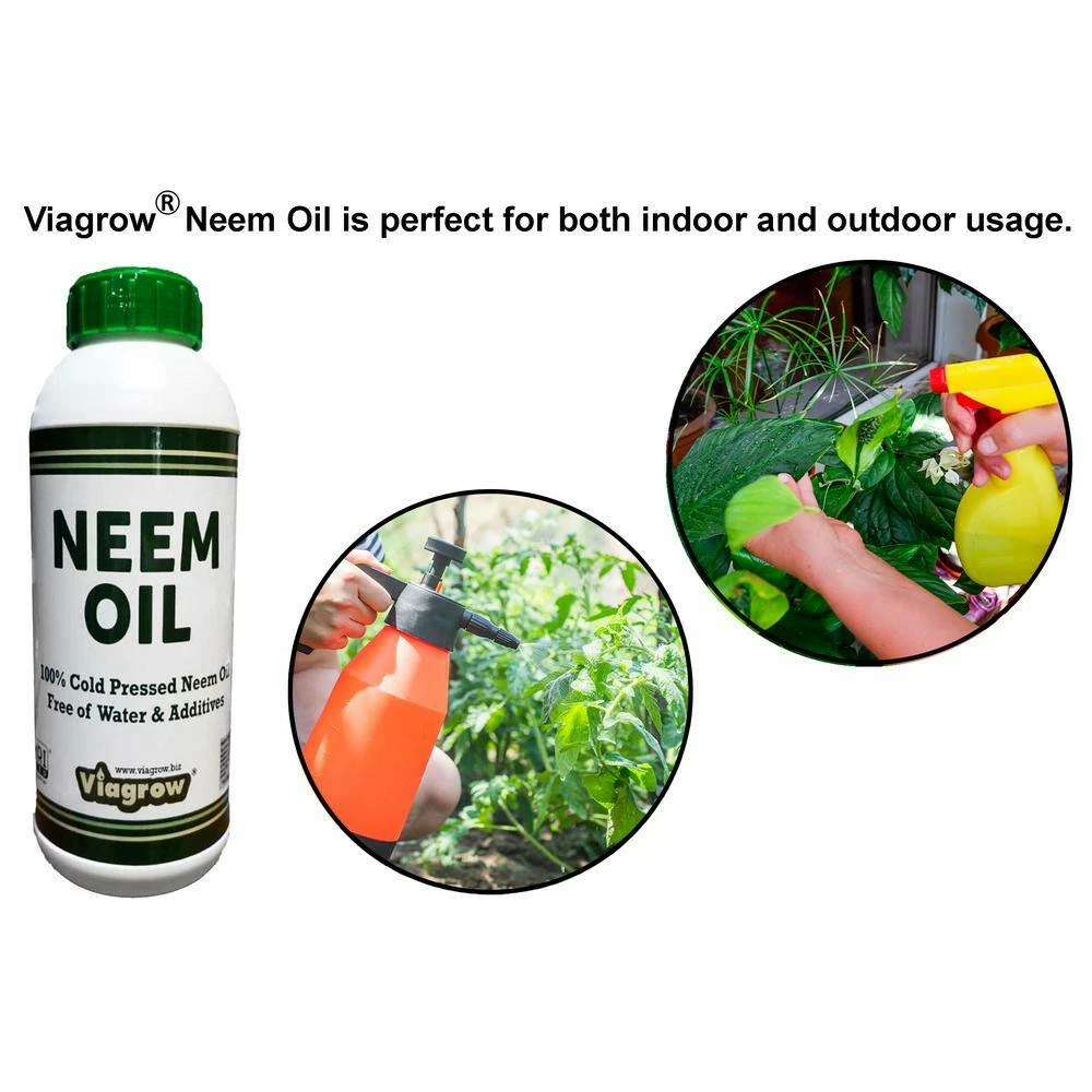 Cheapest π€© 128 oz. Cold Pressed Neem Oil Seed Extract (Makes 192 Gal.) by Viagrow π 4 Cheapest π€© 128 oz. Cold Pressed Neem Oil Seed Extract (Makes 192 Gal.) by Viagrow π - Image 4