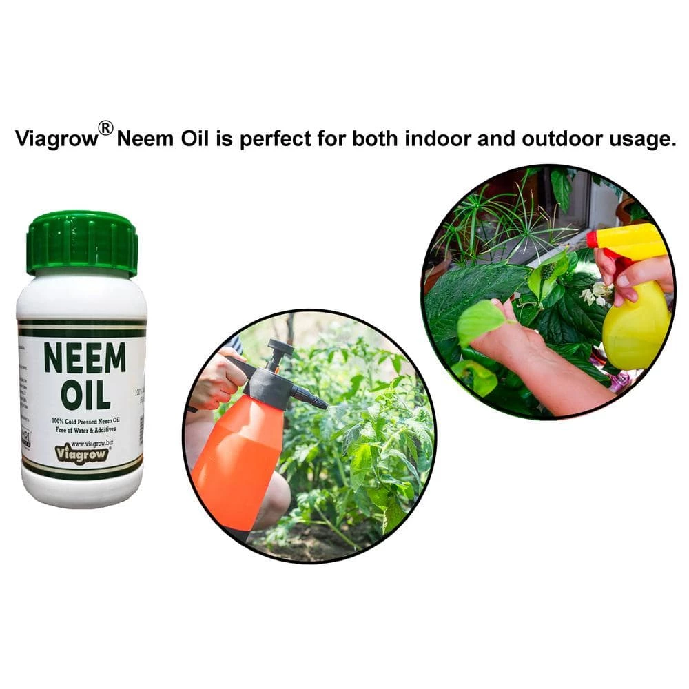 Best Pirce π 16 oz. Cold Pressed Neem Oil Seed Extract (Makes 24 Gal.) by Viagrow π₯° 4 Best Pirce π 16 oz. Cold Pressed Neem Oil Seed Extract (Makes 24 Gal.) by Viagrow π₯° - Image 4