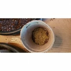 Promo ❤️ 2 lbs. Premium 100% Organic Granular All-Purpose Plant Food and Soil Nourishment/Conditioner and Composter by XtraGrow ⌛ -Organic Gardening Shop xtragrow organic plant food 2420181 31 1000