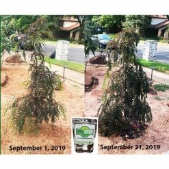 Promo ❤️ 2 lbs. Premium 100% Organic Granular All-Purpose Plant Food and Soil Nourishment/Conditioner and Composter by XtraGrow ⌛ -Organic Gardening Shop xtragrow organic plant food 2420181 4f 1000