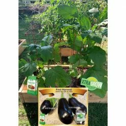 Promo ❤️ 2 lbs. Premium 100% Organic Granular All-Purpose Plant Food and Soil Nourishment/Conditioner and Composter by XtraGrow ⌛ -Organic Gardening Shop xtragrow organic plant food 2420181 76 1000